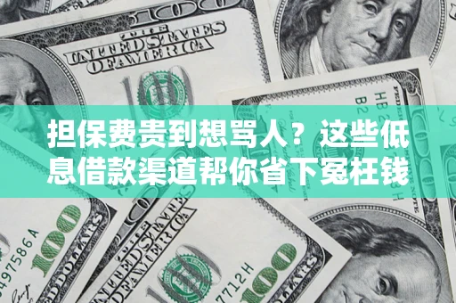 济南担保费贵到想骂人？这些低息借款渠道帮你省下冤枉钱