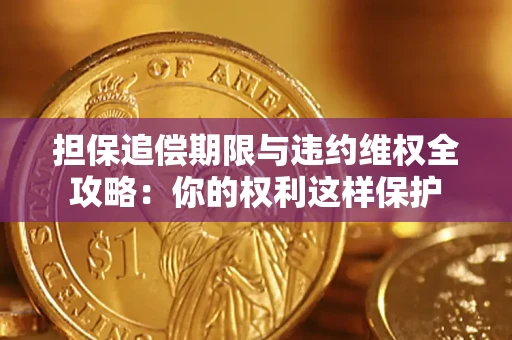 济南担保追偿期限与违约维权全攻略：你的权利这样保护