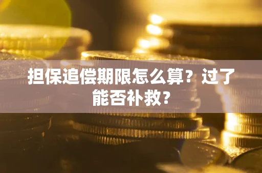 济南担保追偿期限怎么算？过了能否补救？